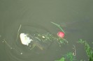 DSC03779