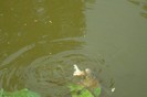 DSC03791