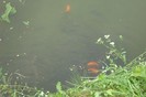 DSC03801