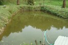 DSC03822