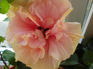 DSC00080