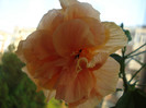 DSC00082