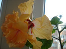 DSC00083