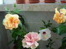 DSC00094