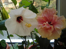 DSC00099