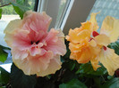 DSC00101
