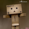 Danbo for U!