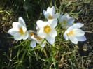 DSC04339