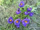 DSC04351