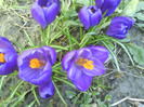 DSC04356