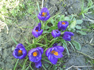 DSC04357
