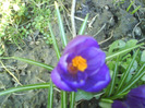 DSC04358