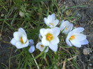 DSC04309