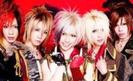 sug (9)