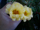 my pictures- 1 sept 2011 009
