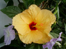 my picture-august 2011 015