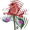 images (14)