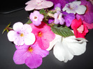 DSCN0995