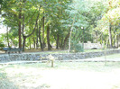 P1300816