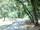 P1300817