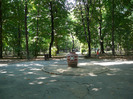 P1300818