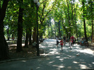 P1300819