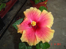 poze 080