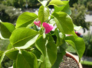 P1020456