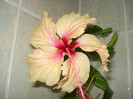 DSC00107