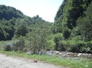 Picture 038