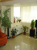 DSC04323