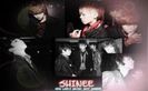 shinee (9)