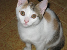 Picture 004