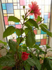 DSCN0043