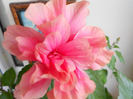 DSCN0042
