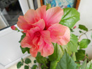 DSCN0034