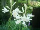 images (2)