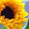 images (3)