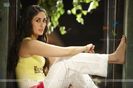 97379-kareena-kapoor-in-the-movie-golmaal-3