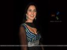 16234-katrina-kaif