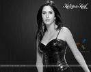 16247-katrina-kaif