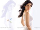 17803-kareena-kapoor
