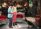 wizards-of-waverly-place-659250l-imagine