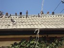 DSC03891