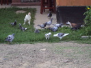 DSC03925