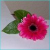 file_980_m