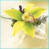 file_1012_m