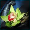 file_1013_m