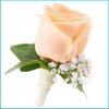 file_1034_m