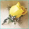 file_1042_m